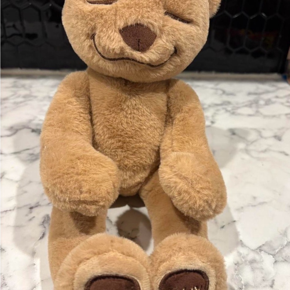 Soft Brown Plush Bear Stuffed Animal - Cuddly Kids Toy